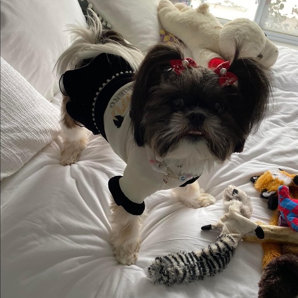 Meet your Posher, Carolyn - Picture 4 of 8